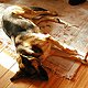 VIEW "Too much for me, I'm sleeping"