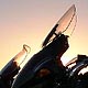 VIEW Sunset and Bikes, Oceano
