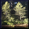 VIEW Rick's caves trip 1999