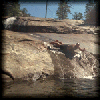 VIEW Rick's caves trip 1999