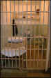 VIEW  A preserved cell.