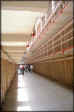 VIEW  Cells