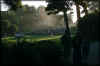 VIEW  Golden Gate Park
