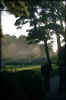 VIEW  Golden Gate Park