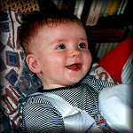 VIEW Young Paddy
