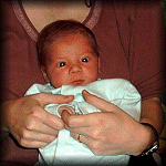 VIEW Young Paddy