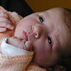 VIEW Baby Nell at 2 weeks