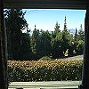 VIEW View from the living room.