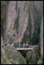 VIEW A great trail led across this bridge through a short tunnel.