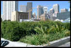 VIEW  City from Yerba Buena gardens.