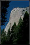 VIEW  Sun Sept 9th: El Capitan, Yosemite
