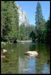 VIEW  Merced River, Yosemite Valley