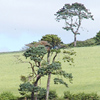 VIEW Markwell Countryside