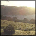 VIEW Sunshine Sheep Fields
